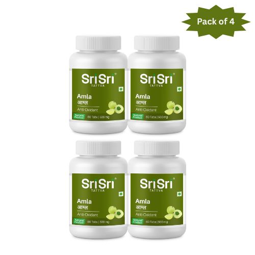 Sri Sri Tattva Amla 60 Tablets (Pack of 4)