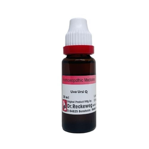 Dr. Reckeweg & Co. Uva Ursi Q 20 Ml