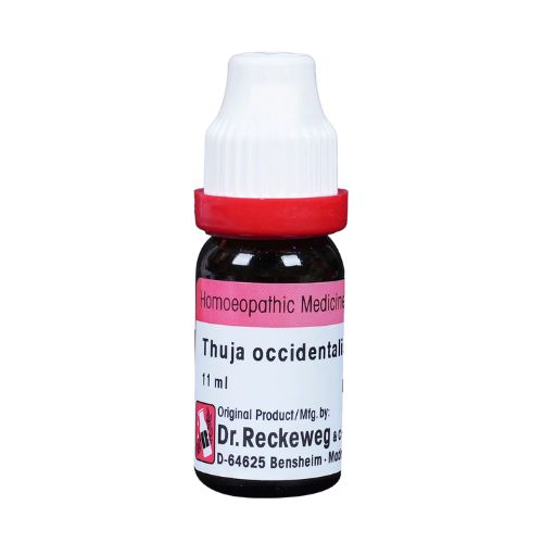 Dr. Reckeweg & Co. Thuja Occidentails  200 11 Ml