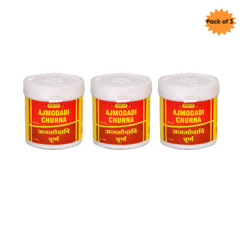 Vyas Ajmodadi Churan 100 Gm(Pack of 3)