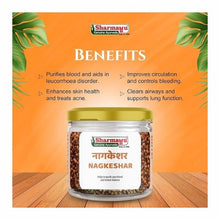 Sharmayu Nagkeshar Churna (100 Gm)