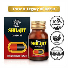 Dabur Shilajit 100 Capsules