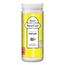 Dabur Nature Care Isabgol 375 Gm