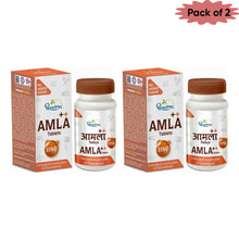 Sdl Amla Plus With Zinc 60 Tablets(Pack of 2)
