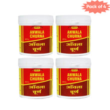 Vyas Amla Churna 100 Gm(Pack of 4)
