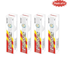 Rex Remedies Painrex 25 Gm(Pack of 4)