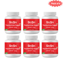 Sri Sri Tattva Trayodashanga Guggulu 30 Tablets(Pack of 6)