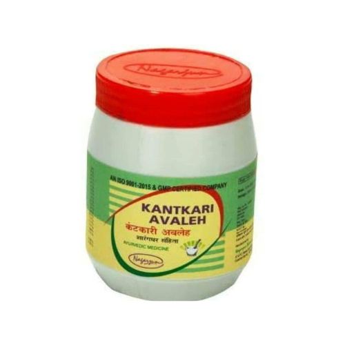 Nagarjun (Gujarat) Kantkari Avaleh 400 Gm