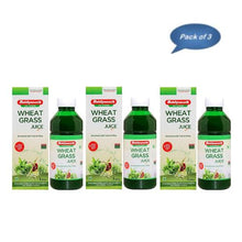 Baidyanath (Jhansi) Giloy Juice 1 Ltr - Pack of 3 | Pure Ayurvedic Giloy Immunity & Fever Relief Juice