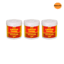 Vyas Ajmodadi Churan 100 Gm(Pack of 3)