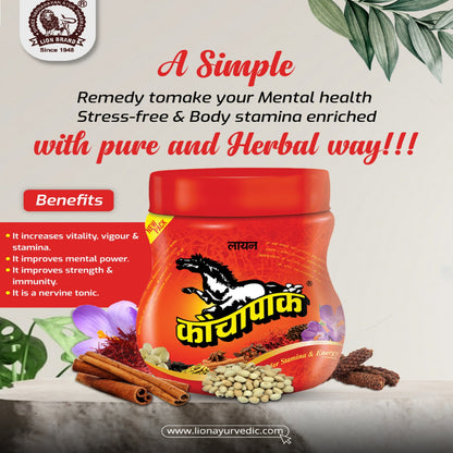Lion Brand Kauchapak 200 Gm