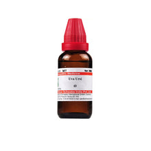 Wsi Uva Ursi 30 Ml