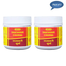Vyas Shatavari Churna 100 Gm (Pack of 2)