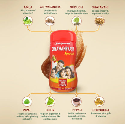 Baidyanath (Jhansi) Special Chyawanprash 1 Kg (Pack of 2)