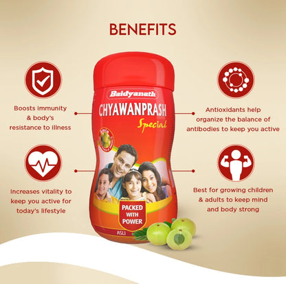 Baidyanath (Jhansi) Special Chyawanprash 1 Kg (Pack of 2)