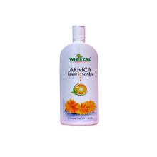 Wheezal Arnica Hair Scalp 500 Ml | Homeopathic Arnica Shampoo Economy Pack for Hair Growth