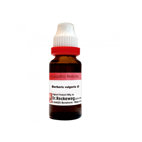 Dr. Reckeweg & Co. Berberis Vulgaris Q 100 Ml