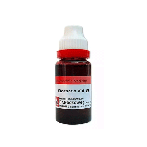 Dr. Reckeweg & Co. Berberis Vulgaris 50 Ml