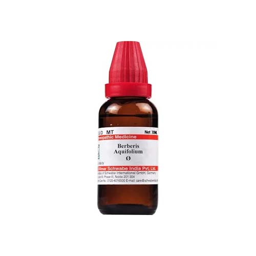 Dr. Willmar Schwabe India Berberis Aquifolium Q 30 Ml